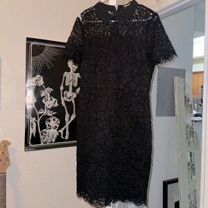 Black collared lace Karl Lagerfeld dress